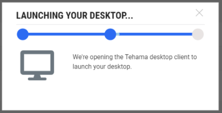 This image shows the LAUNCHING YOUR DESKTOP dialog.